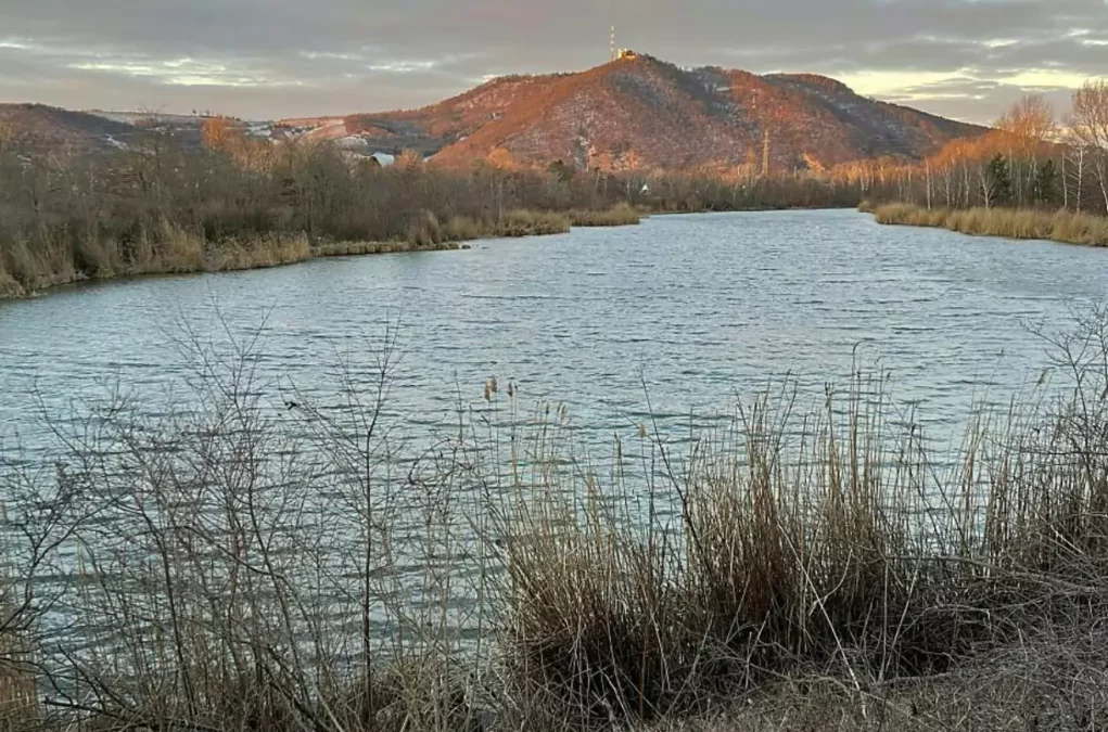 Zerstückelte Leiche in Marchfeldkanal: Verdächtiger wurde ausgeforscht