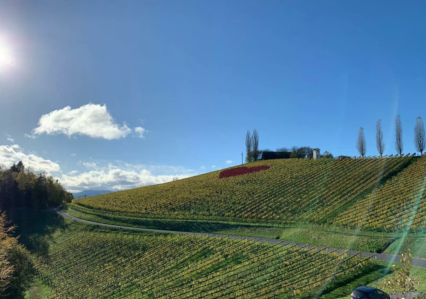 Bild auf 5min.at zeigt die südsteirische Weinstraße