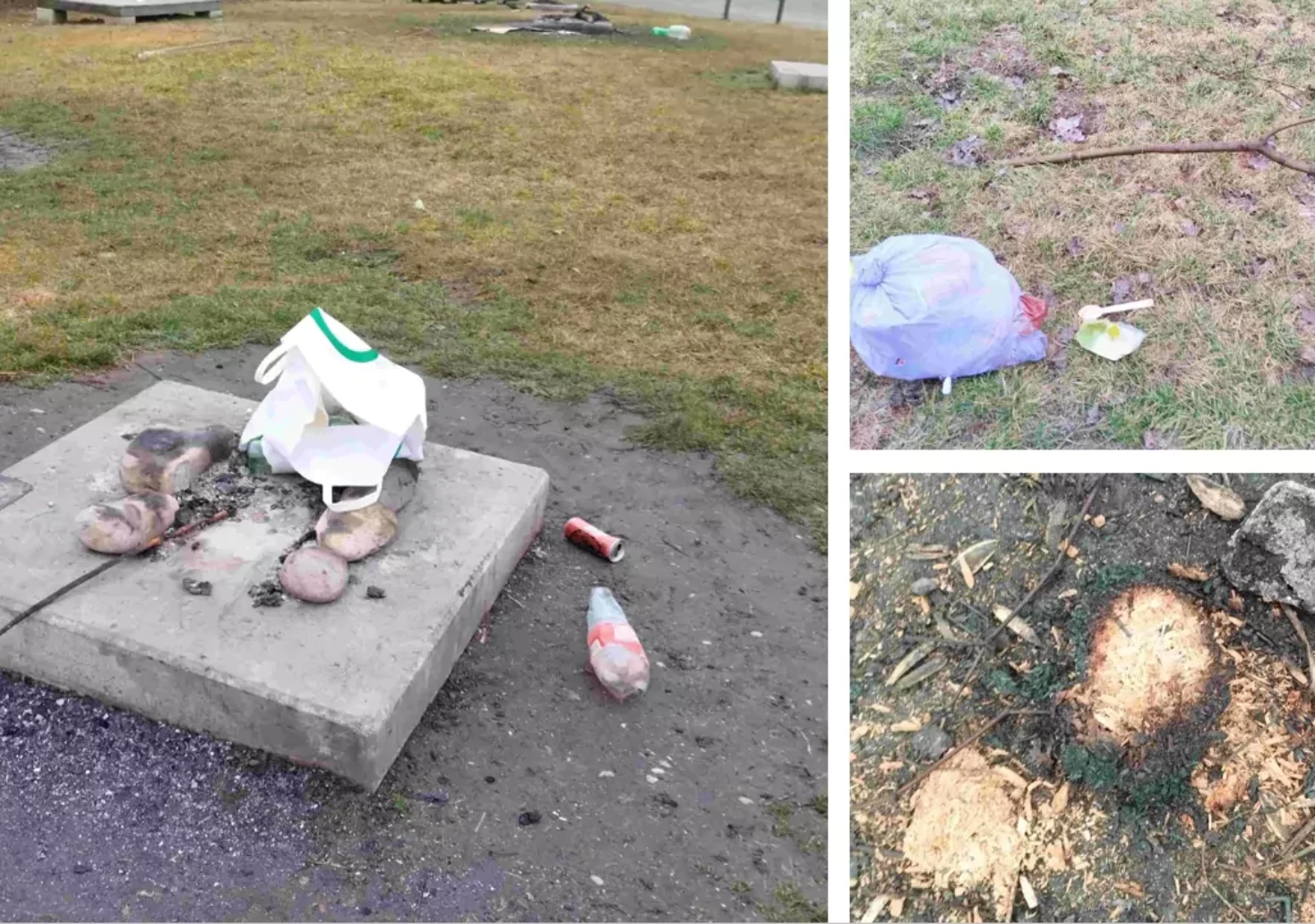 Erste Beschwerden: Auwiesen-Kontroverse setzt sich auch heuer fort