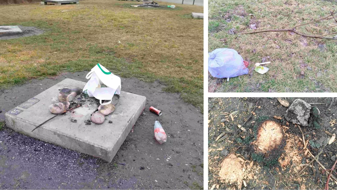 Erste Beschwerden: Auwiesen-Kontroverse setzt sich auch heuer fort