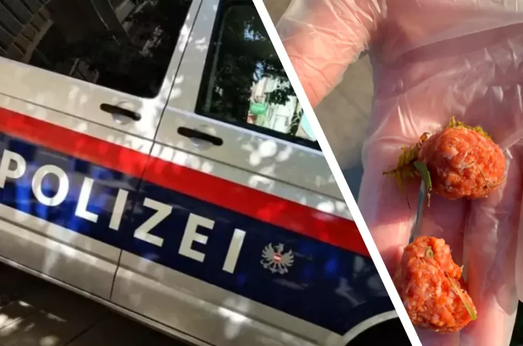 Nach Giftköder-Attacken in Graz: Polizei ermittelt wegen Tierquälerei