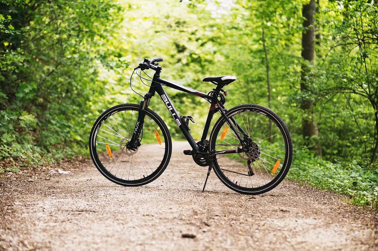 Foto in Beitrag von 5min.at: Zu sehen ist ein Fahrrad im Wald.