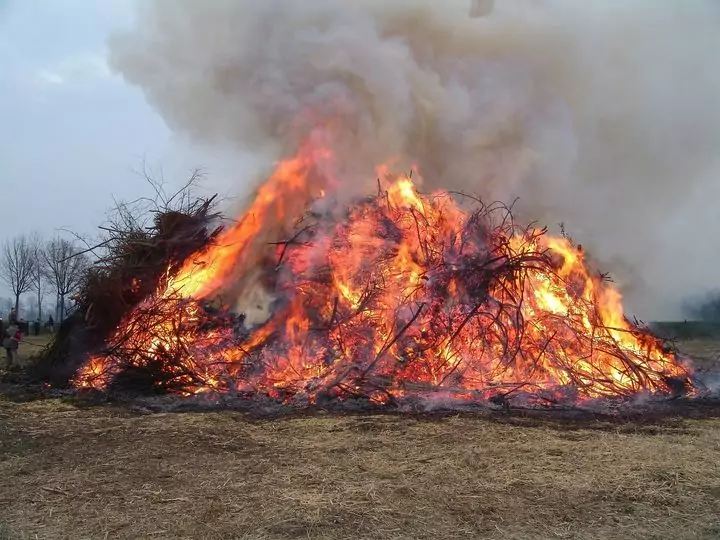 Todesfalle Osterfeuer: „Tiere können den Flammen nicht mehr entkommen“