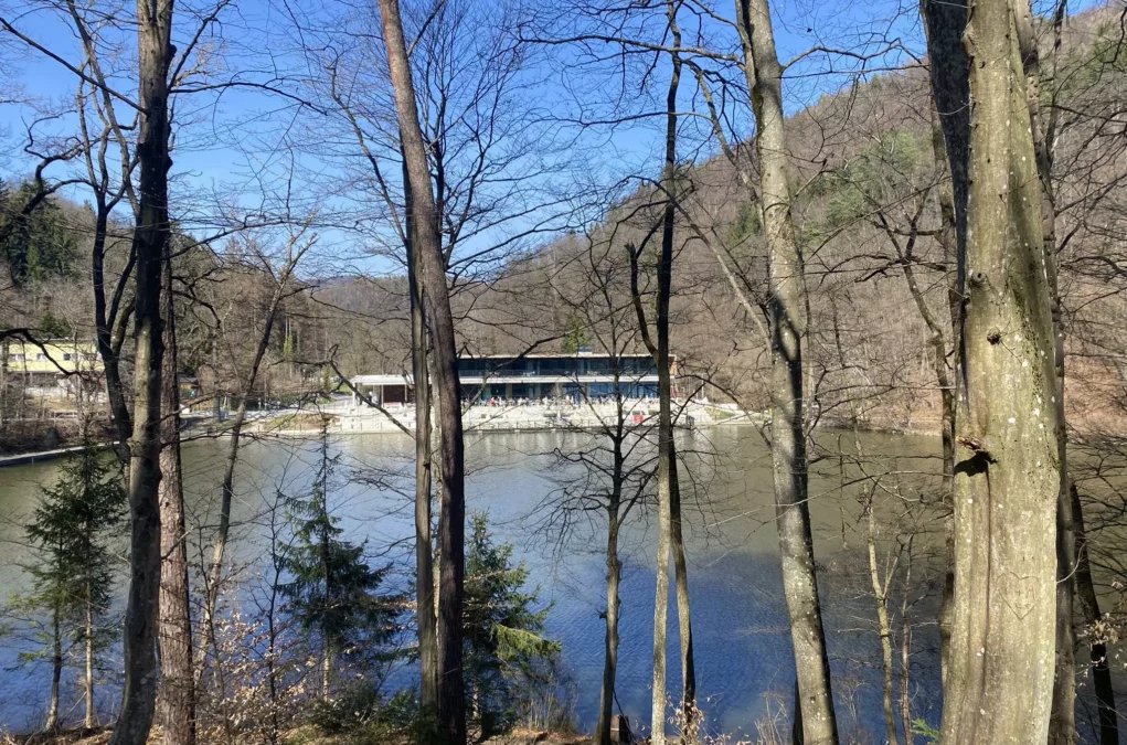 Bild auf 5min.at zeigt den Blick auf das Cafe beim Thalersee. Zu sehen sind auch bäume.