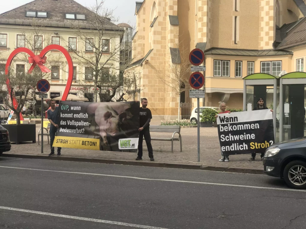 Ein Bild auf 5min.at zeigt die VGT-Protestaktion am Nikolaiplatz