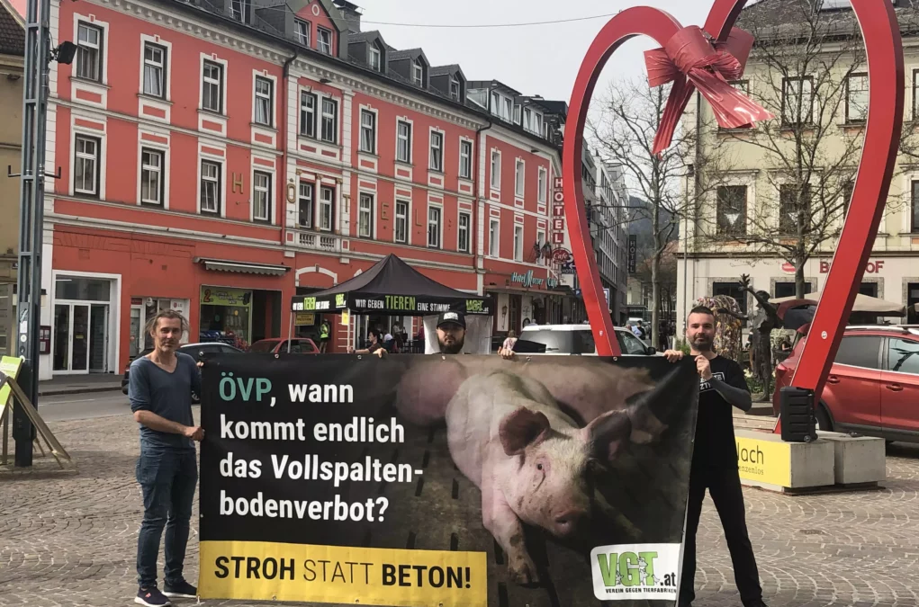 Ein Bild auf 5min.at zeigt die VGT-Protestaktion am Nikolaiplatz