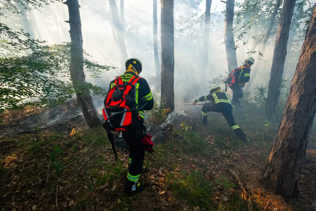 Waldbrand bei Mödling: Großeinsatz von Feuerwehren
