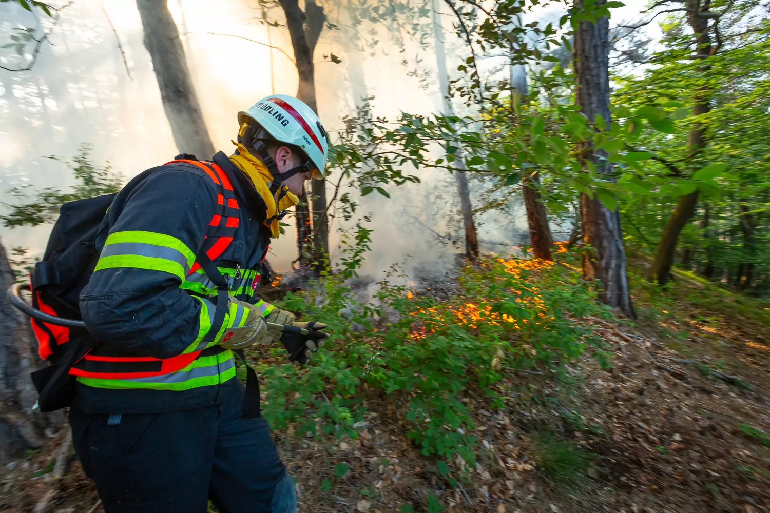 Feuerwehr löscht Waldbrand