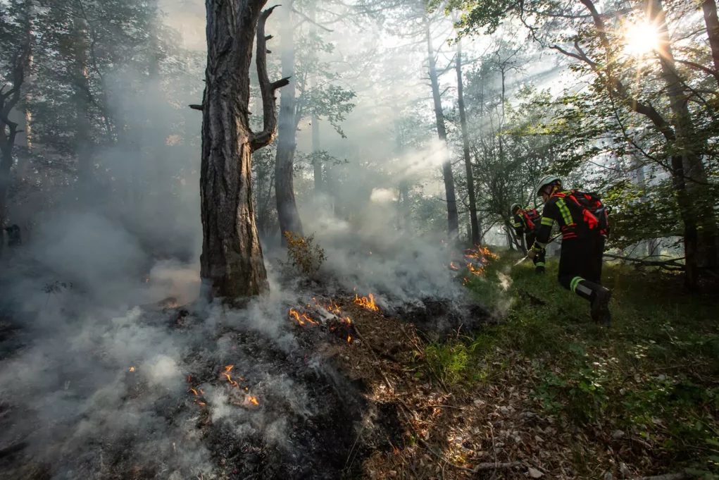 Waldbrand bei Mödling: Großeinsatz von Feuerwehren