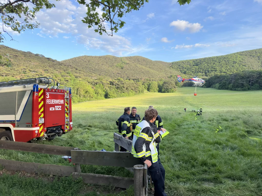 Waldbrand bei Mödling: Großeinsatz von Feuerwehren