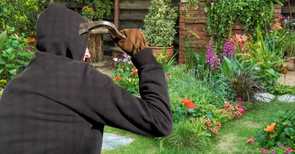 Bild auf 5min.at zeigt einen Einbrecher in einem Garten.