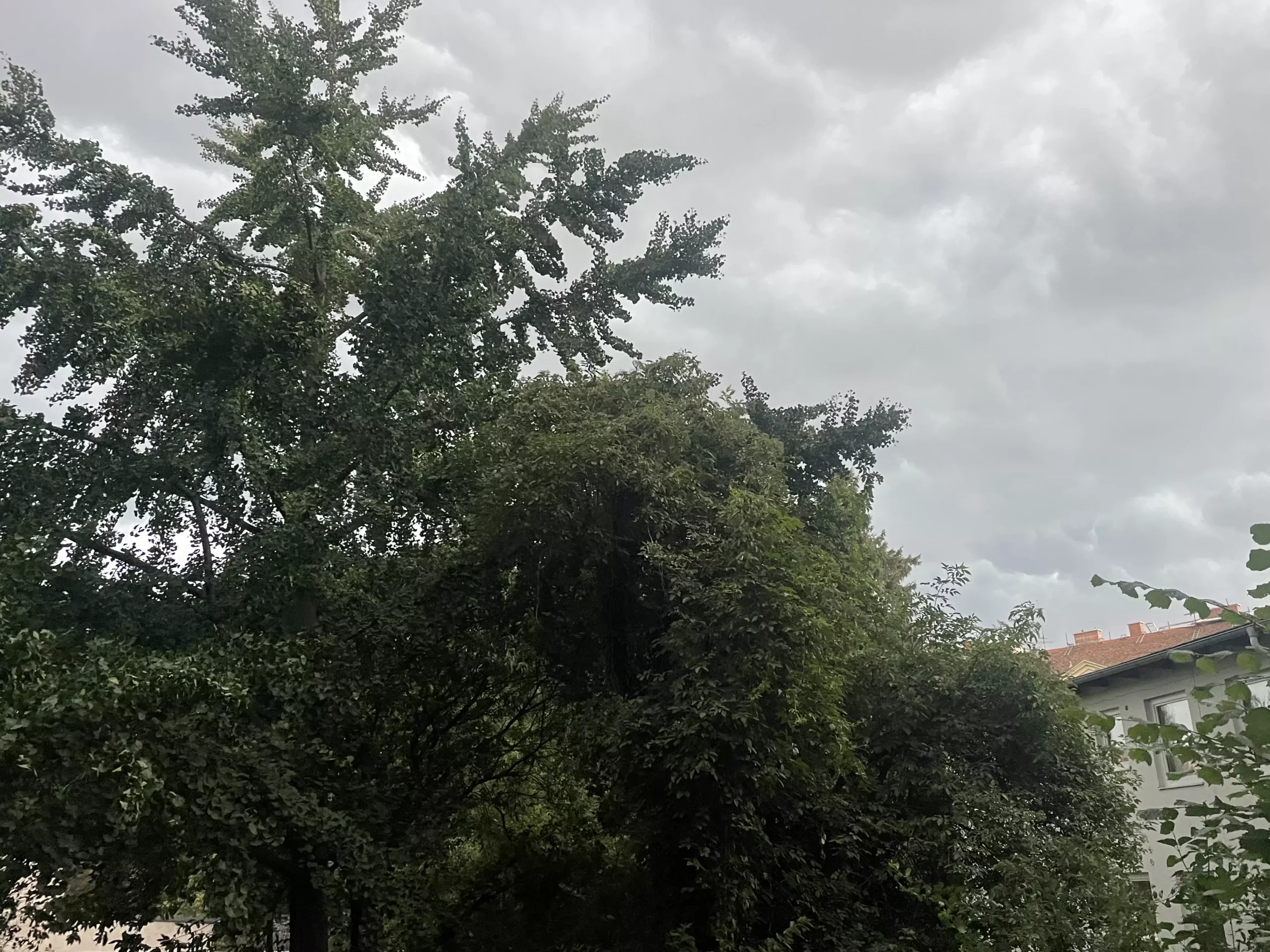 Foto auf 5min.at zeigt einen bewölkten Himmel