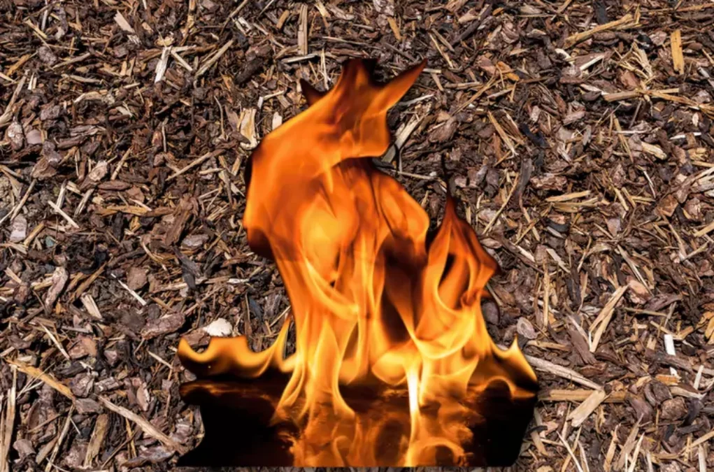 Das Bild auf 5min.at zeigt einen Brand auf Hackschnitzeln.