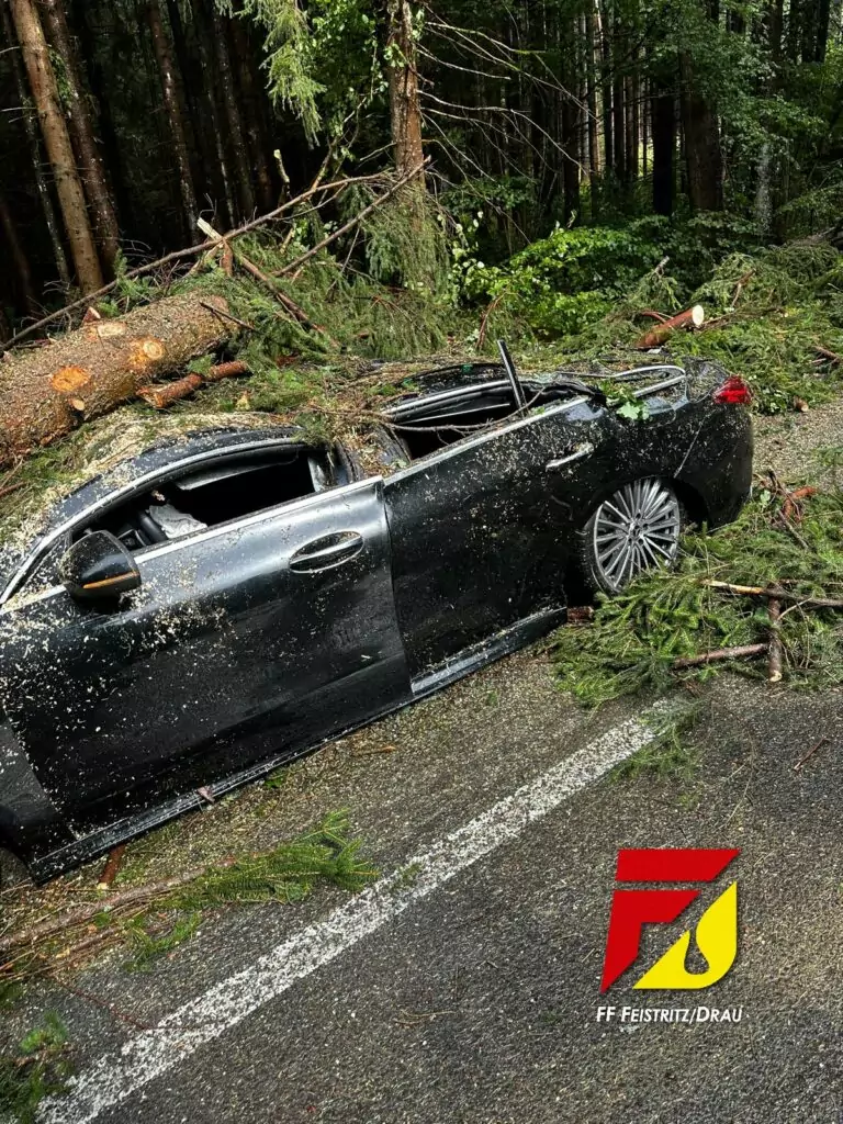 Bäume stürzten auf Straße – mehrere Personen verletzt