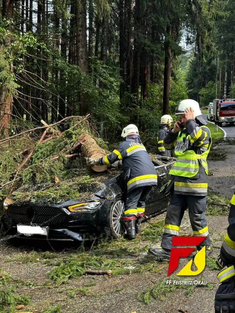 Bäume stürzten auf Straße – mehrere Personen verletzt