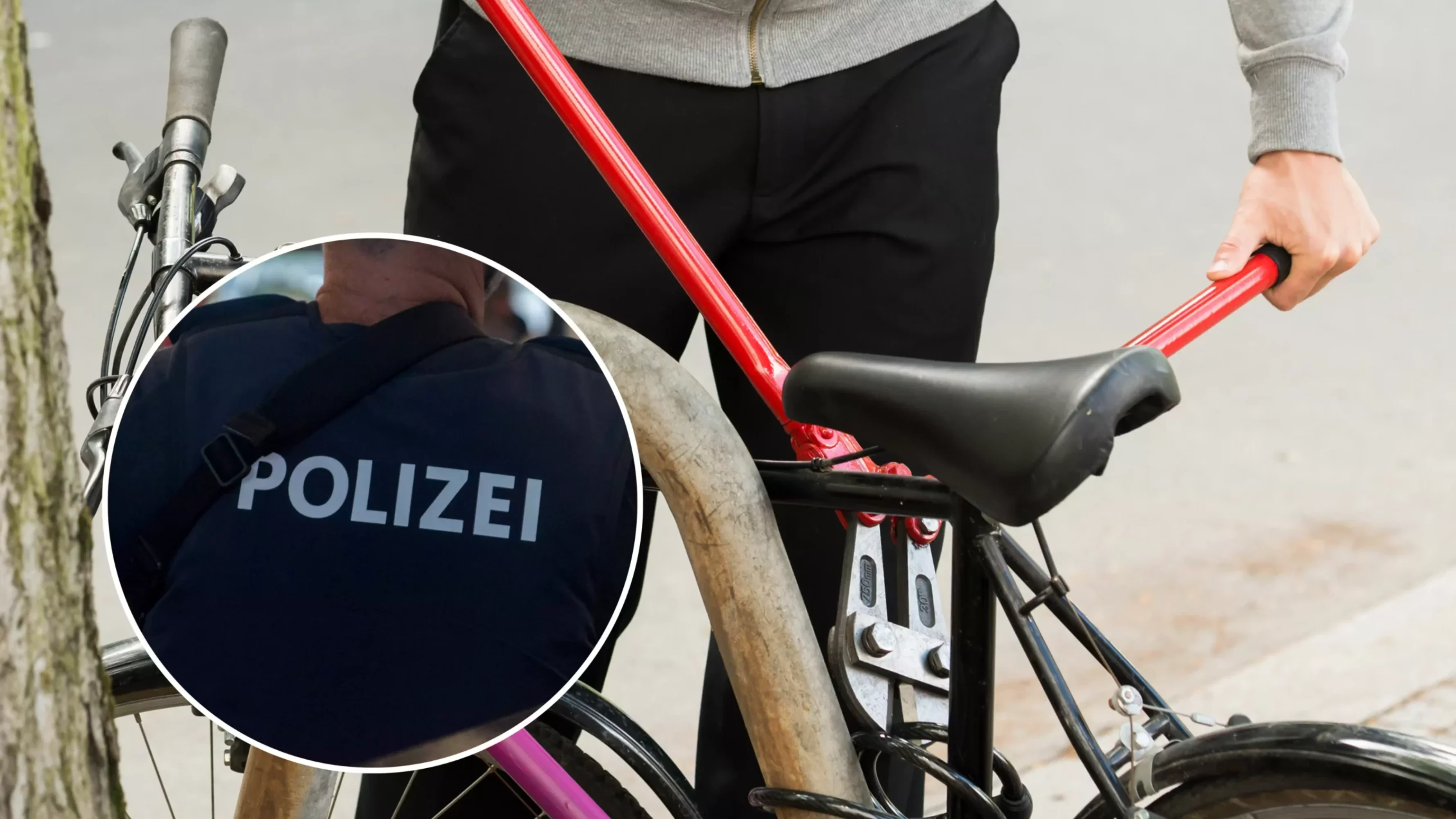 Ein Bild auf 5min.at zeigt einen Fahrraddieb und die Polizei.