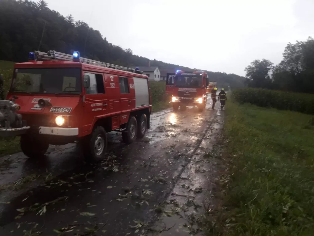 Bäume auf der Fahrbahn: FF Untergrossau war im Einsatz