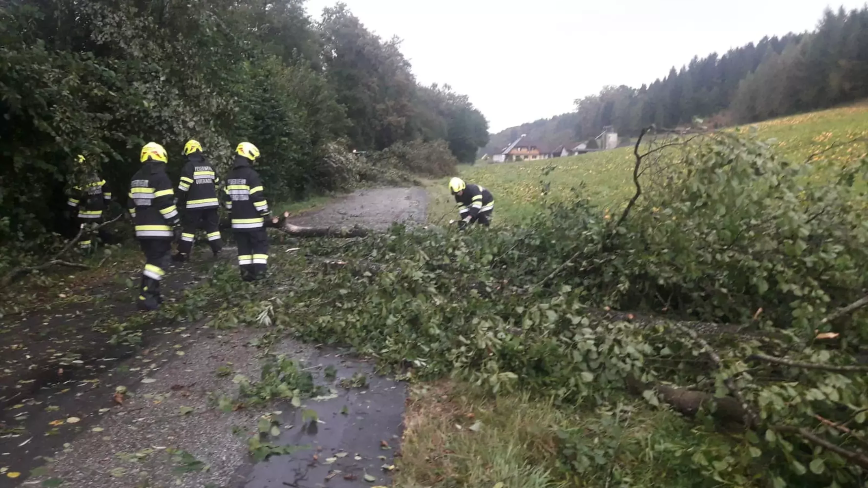 Bäume auf der Fahrbahn: FF Untergrossau war im Einsatz