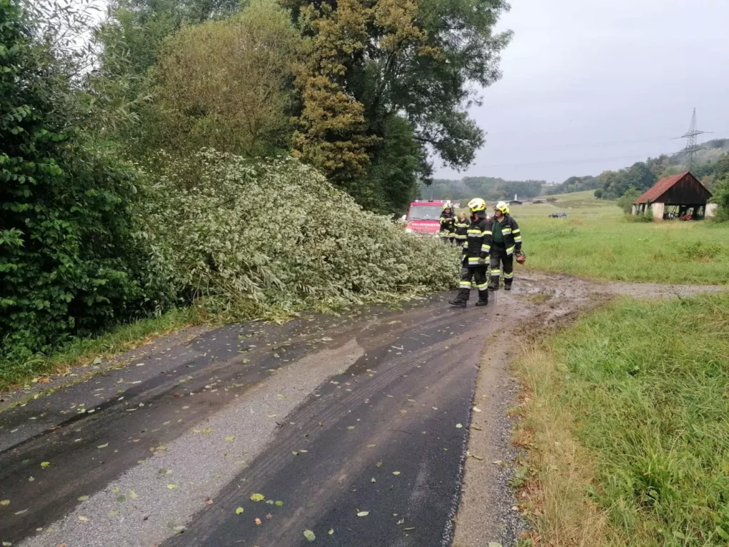 Das Bild auf 5min.at zeigt einen Feuerwehreinsatz aufgrund eines auf die Straße gestürzten Baumes.