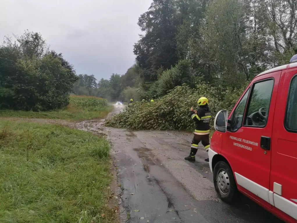 Das Bild auf 5min.at zeigt einen Feuerwehreinsatz aufgrund eines auf die Straße gestürzten Baumes.