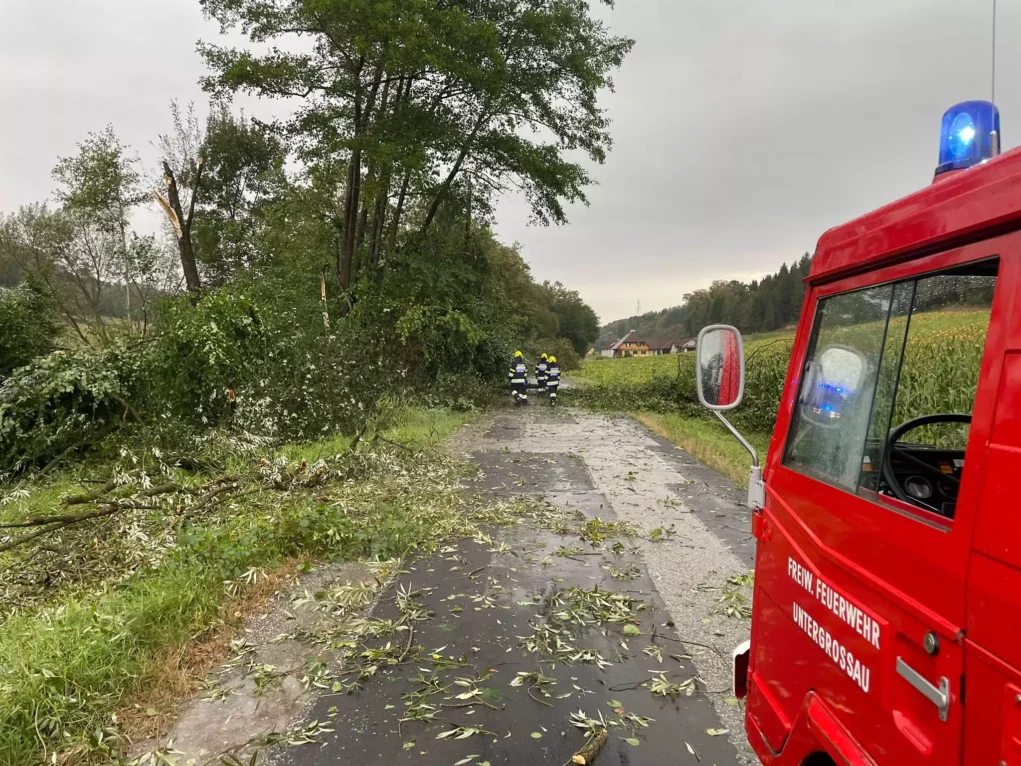 Das Bild auf 5min.at zeigt einen Feuerwehreinsatz aufgrund eines auf die Straße gestürzten Baumes.