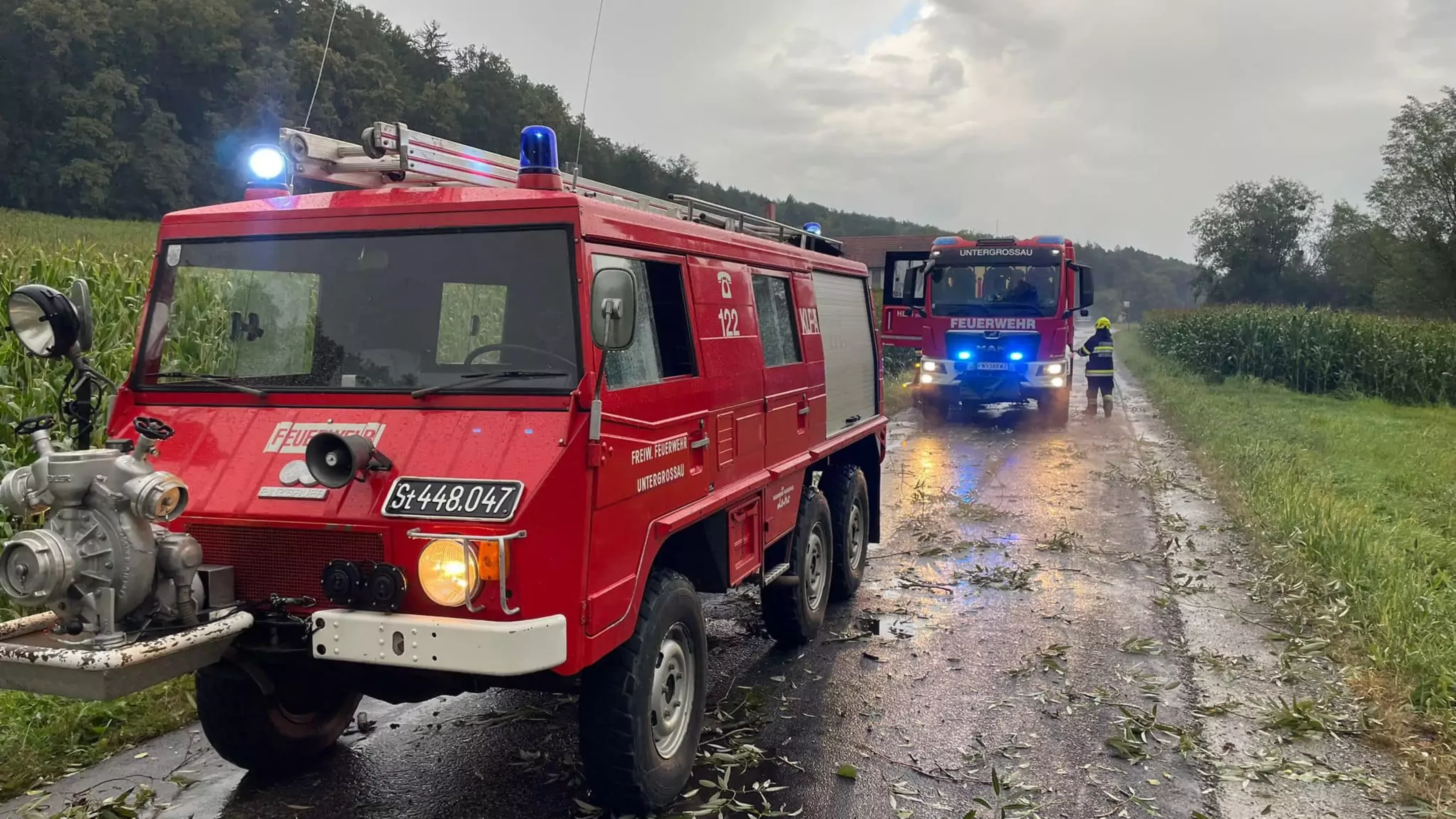 Das Bild auf 5min.at zeigt einen Feuerwehreinsatz aufgrund eines auf die Straße gestürzten Baumes.