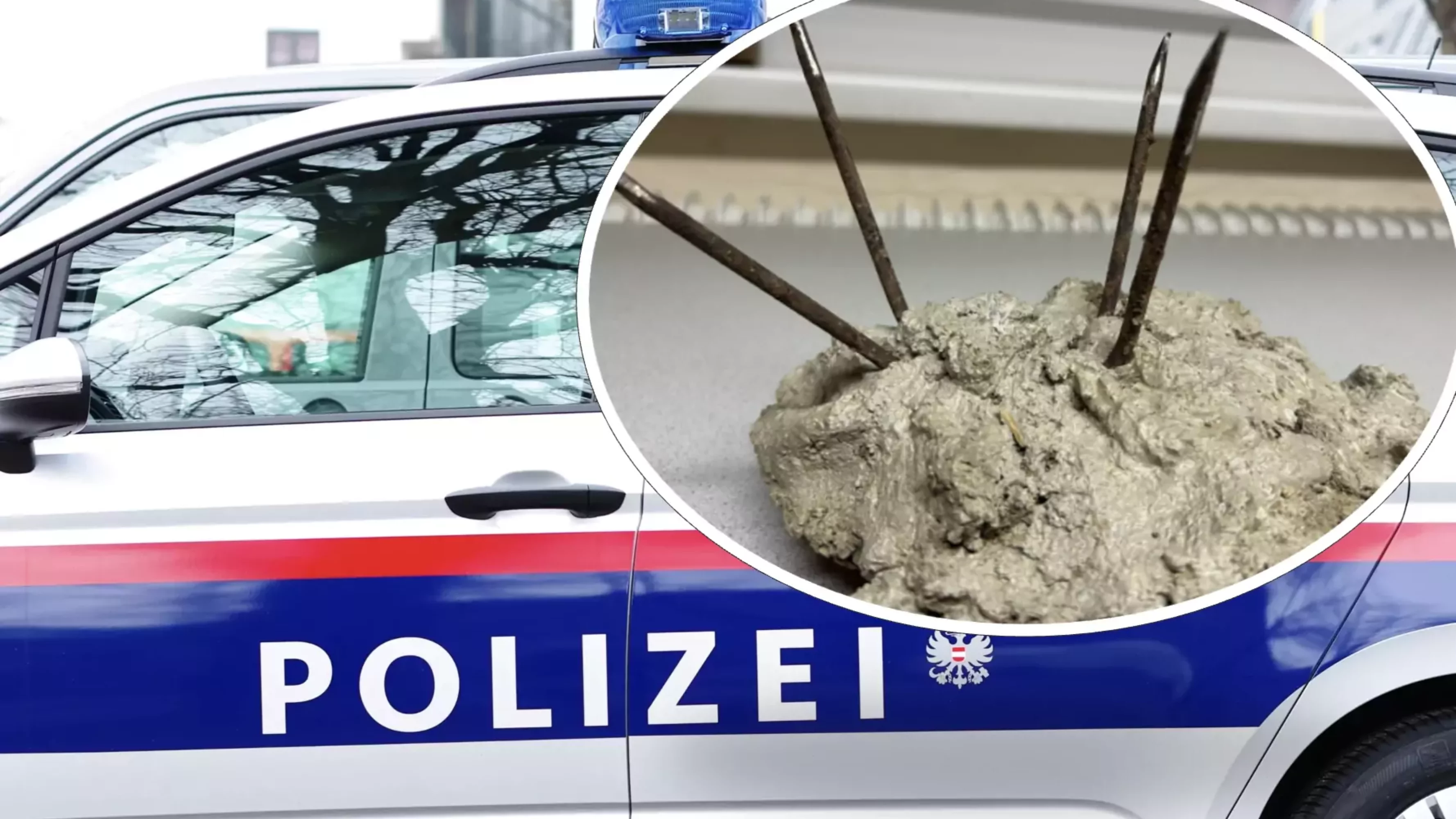 Foto auf 5min.at zeigt ein Polizeiauto und eine Trittfalle