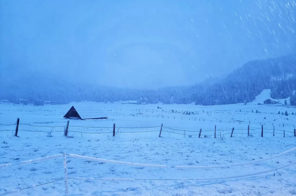 Das Bild auf 5min.at zeigt Neuschnee auf der Falttnitz.