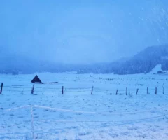 Das Bild auf 5min.at zeigt Neuschnee auf der Falttnitz.