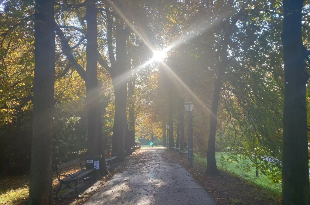 Das Bild auf 5min.at zeigt den Stadtpark in Graz im Herbst bei sch&ouml;nem Wetter.