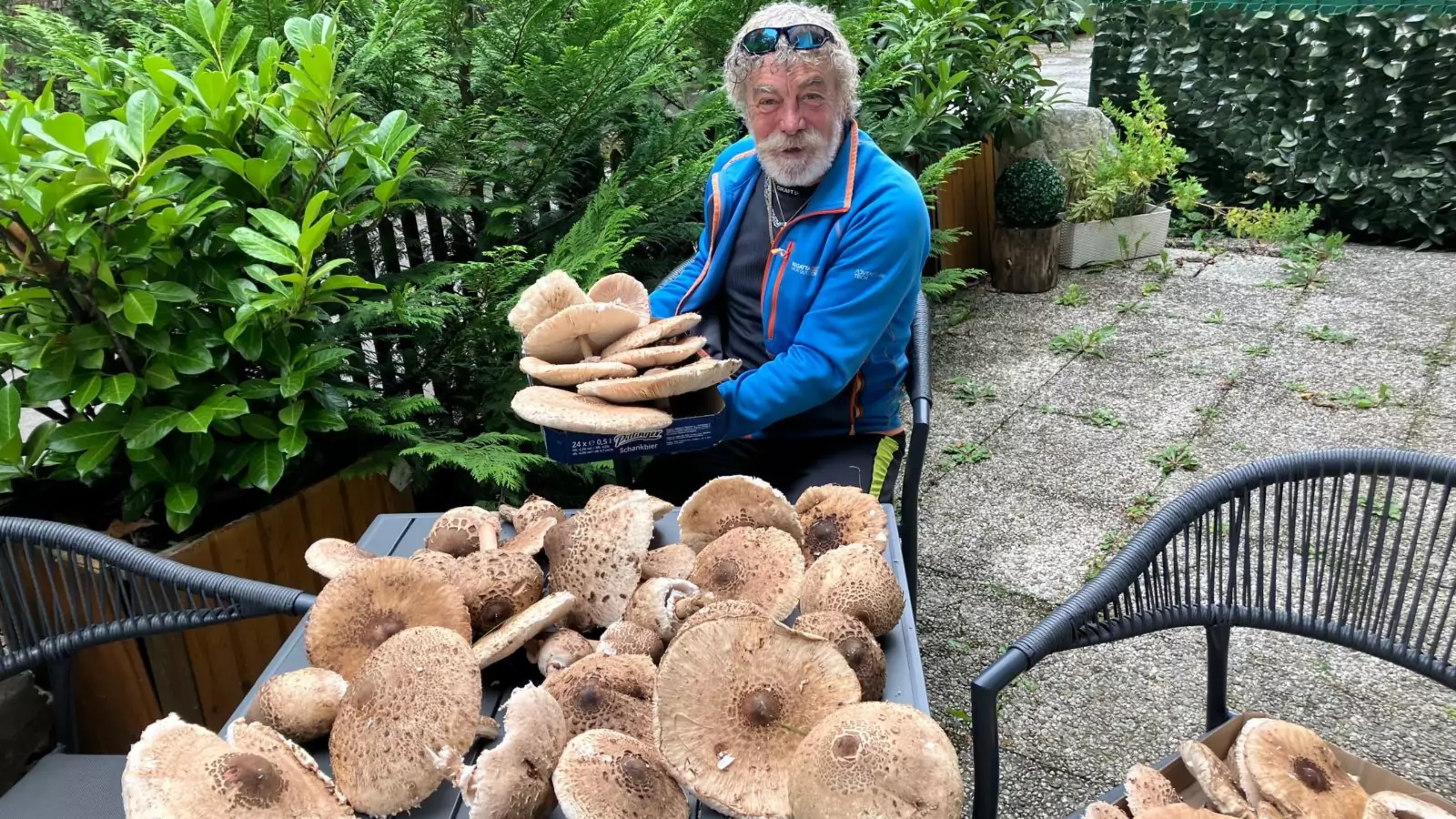 Ein Bild auf 5min.at zeigt den Villacher Hans Sitter mit den gefunden Parasolpilzen.