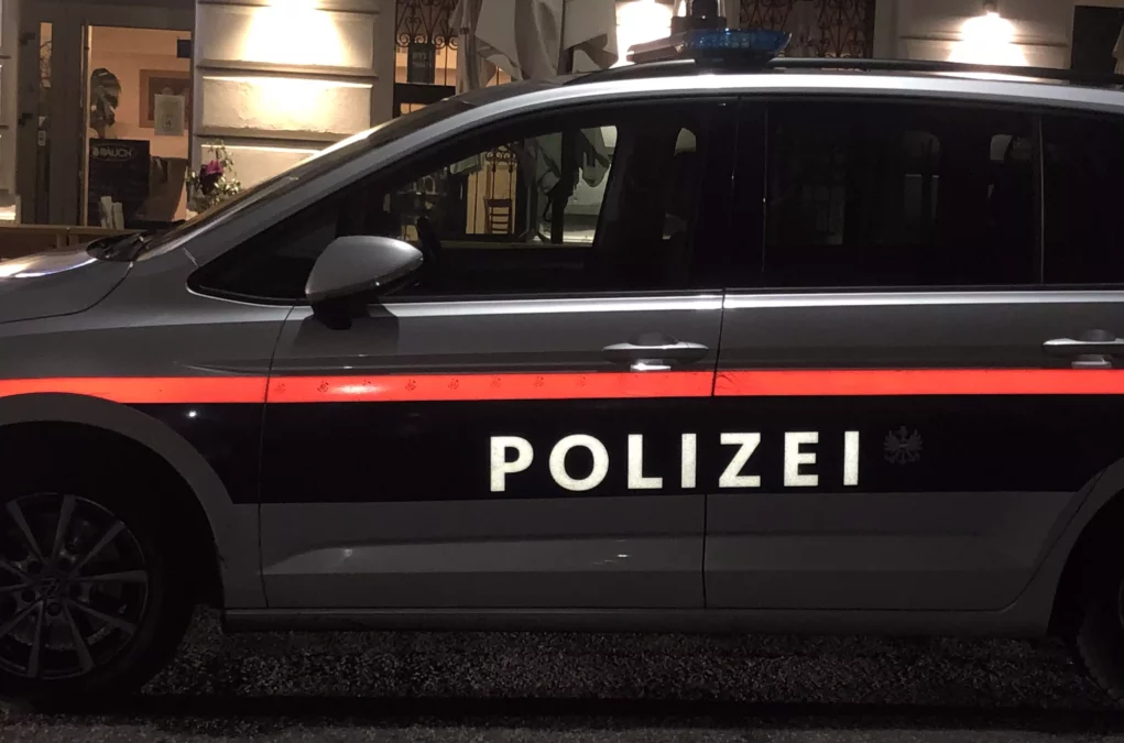 Ein Bild auf 5min.at zeigt ein Polizeiauto bei Nacht.