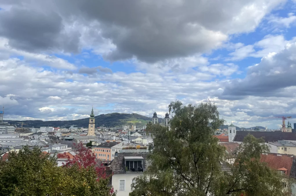 Foto auf 5min.at zeigt Linz.