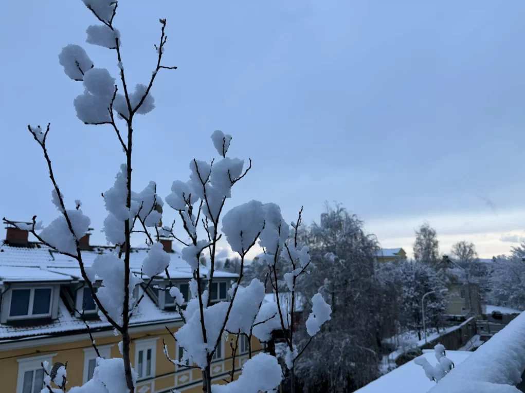 Ein Bild auf 5min.at zeigt Schnee in Klagenfurt