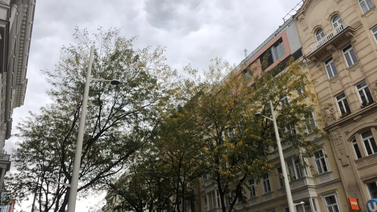 Ein Bild auf 5min.at zeigt bewölktes Wetter in Wien.