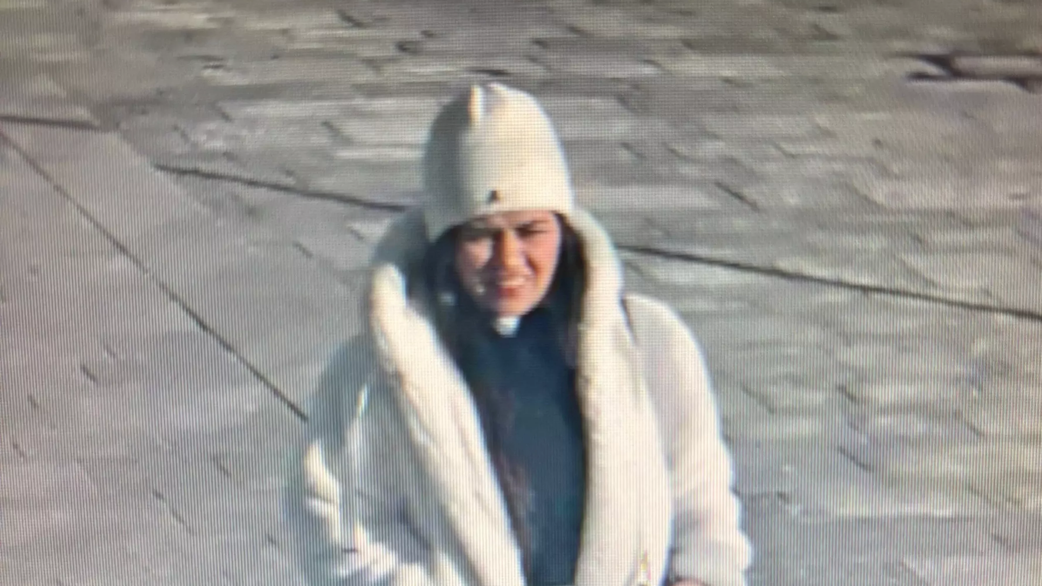 Bild auf 5min.at zeigt eine Frau, nach der gefahndet wird.