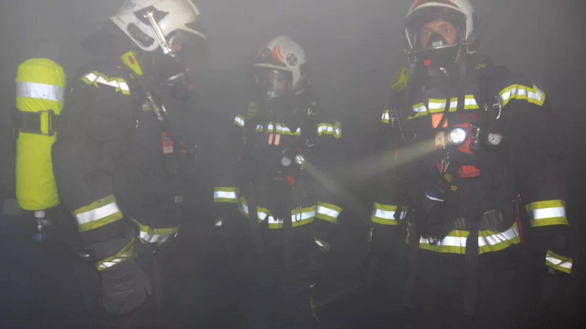 Bild auf 5min.at zeigt Wiener Feuerwehrmänner