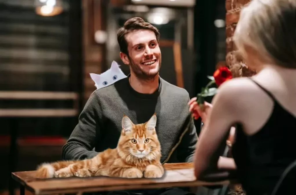 Das Bild auf 5min.at zeigt zwei Personen beim Dating mit Katzen.