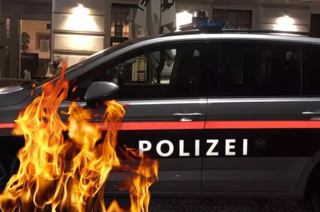 Das Bild auf 5min.at zeigt ein Polizeiauto bei Nacht und Feuer.