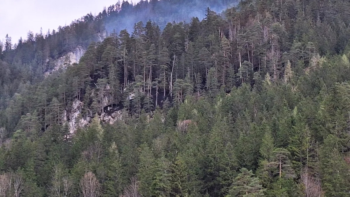Bild auf 5min.at zeigt Feuerwehr bei einem Waldbrand im Einsatz.