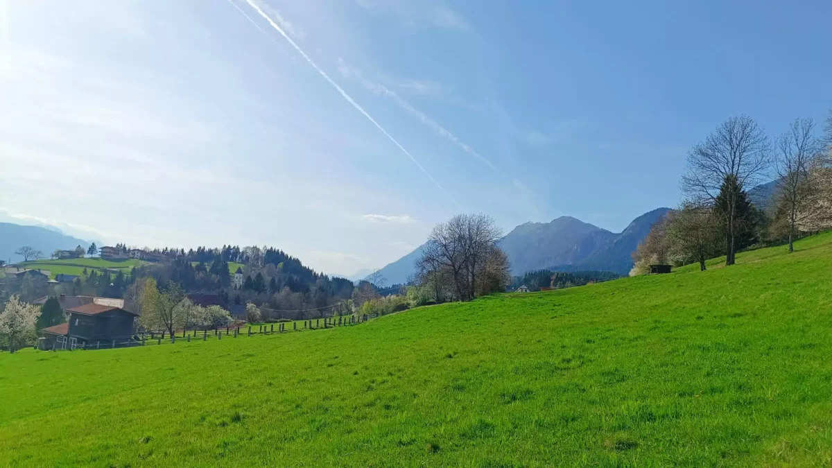Ein Bild auf 5min.at zeigt eine grüne Wiese und strahlend blauen Himmel im Gailtal.