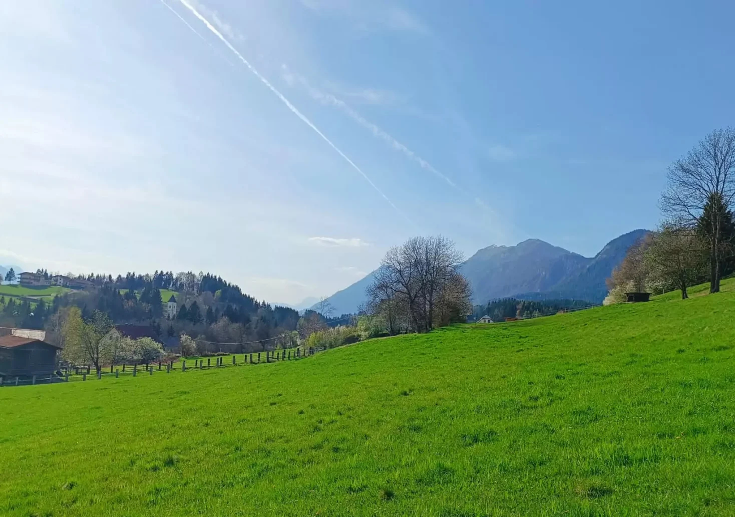 Ein Bild auf 5min.at zeigt eine grüne Wiese und strahlend blauen Himmel im Gailtal.