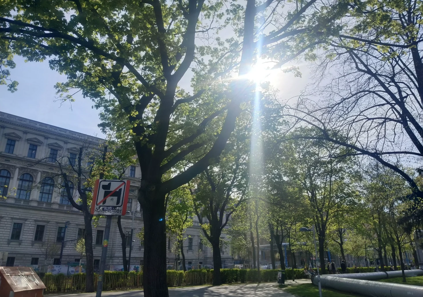 Bild auf 5min.at zeigt einen Wiener Park im Frühling