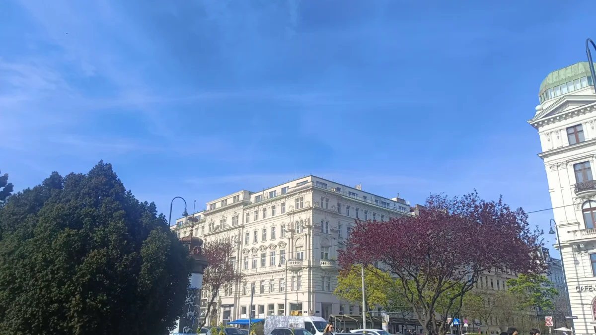 Bild auf 5min.at zeigt einen Wiener Park im Frühling