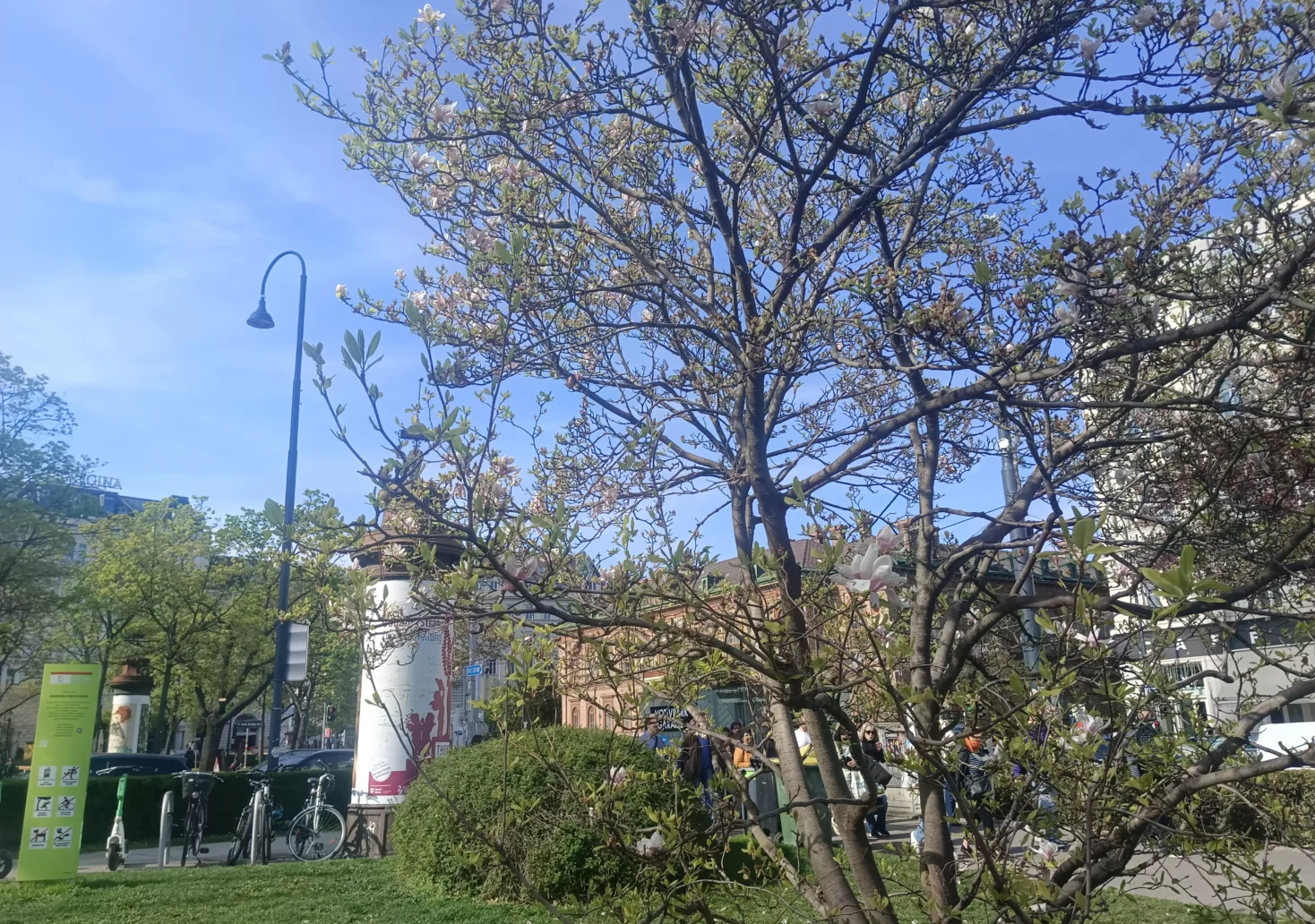 Bild auf 5min.at zeigt einen Wiener Park im Frühling