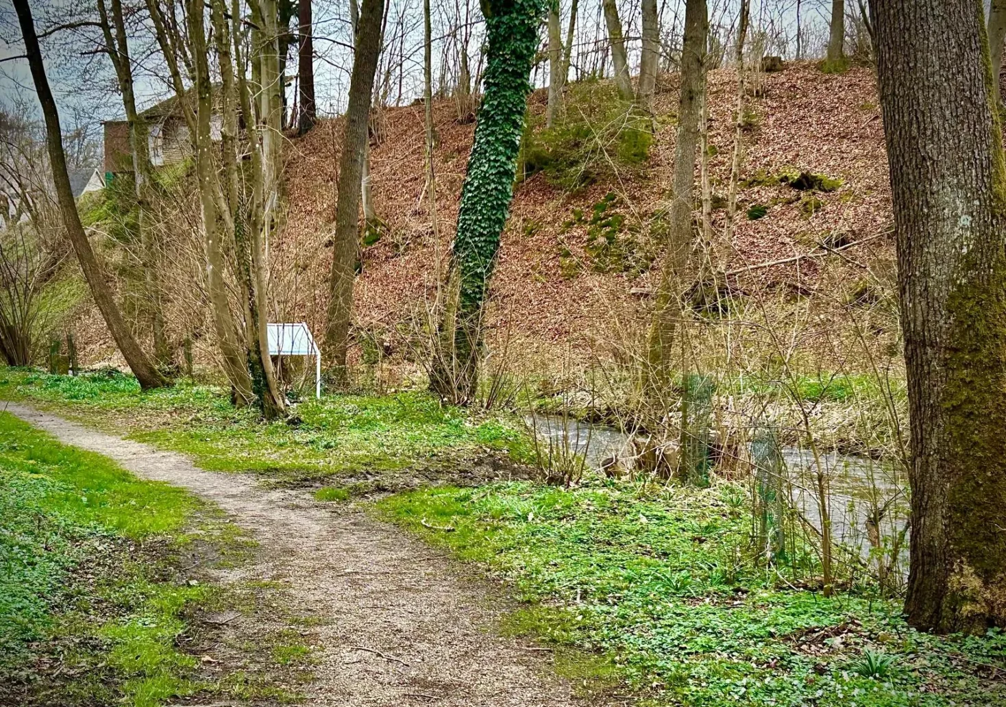 Das Bild auf 5min.at zeigt einen beliebten Wanderweg in Velden am Wörthersee.