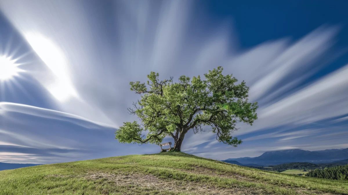 Das Bild auf 5min.at zeigt eine Landschaft in Pustritz.
