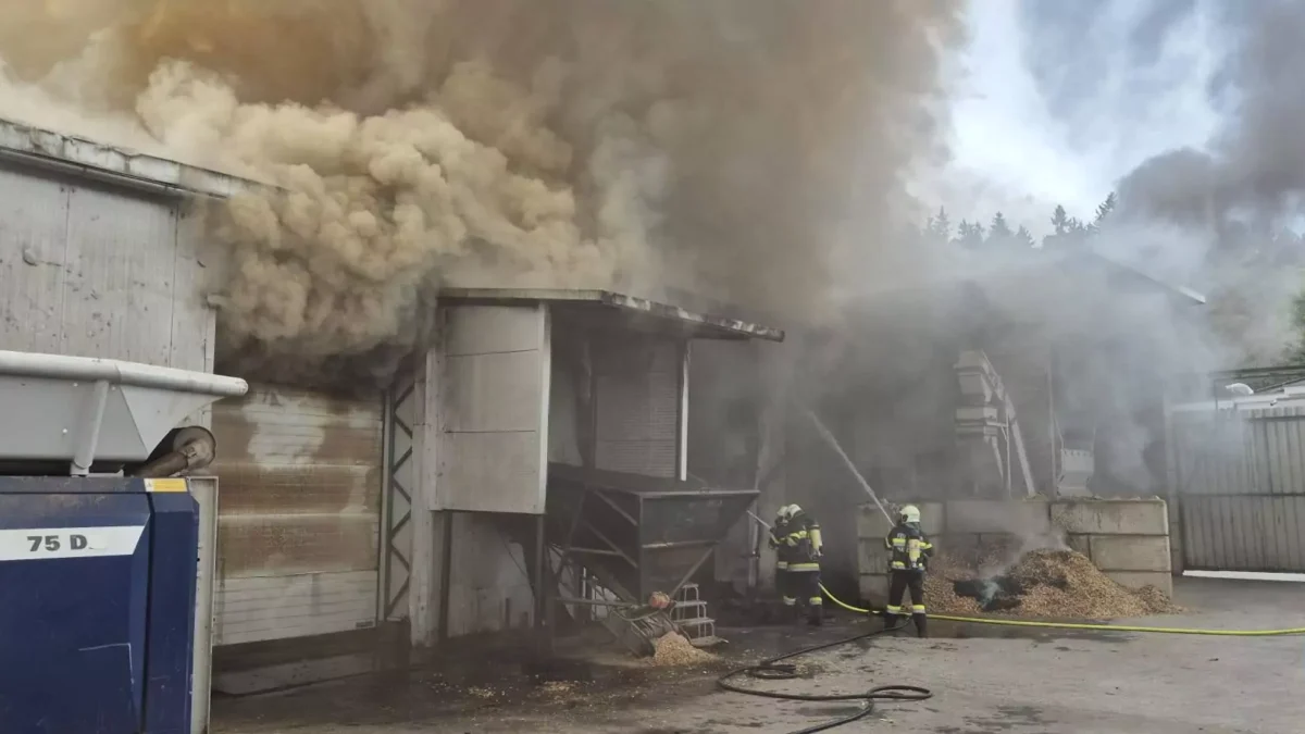 Foto auf 5min.at zeigt den Brand in einer Pelletslagerhalle in Eggersdorf bei Graz