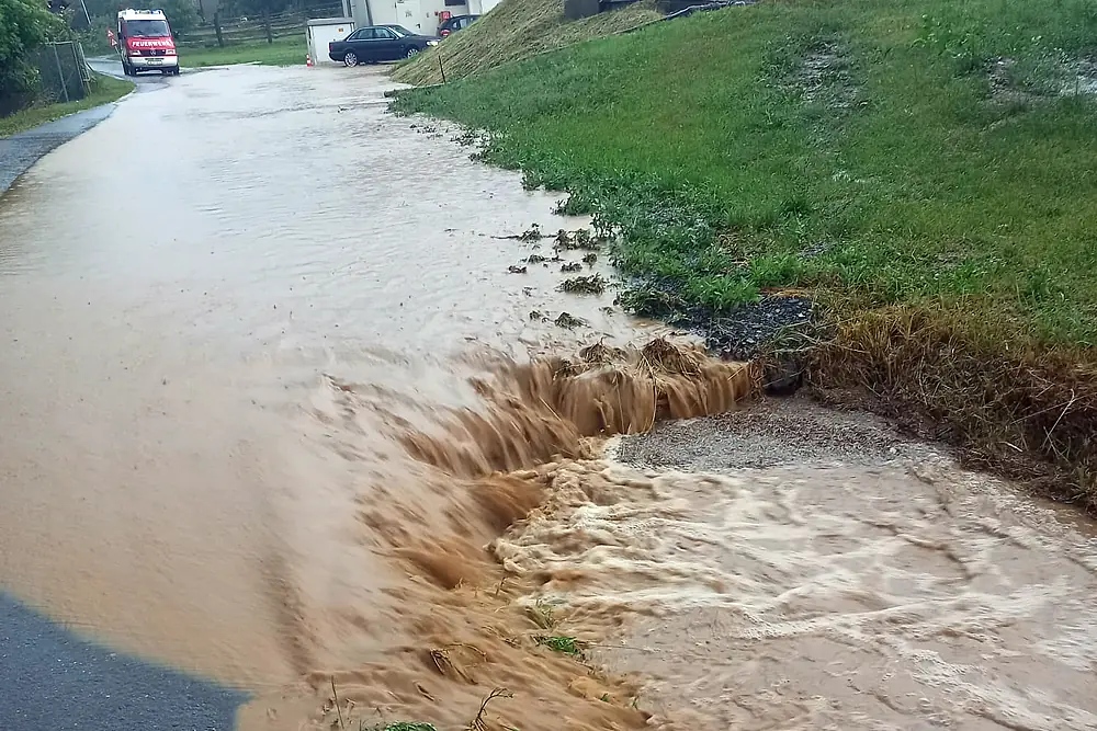 Ein Bild auf 5min.at zeigt eine überschwemmte Wiese.
