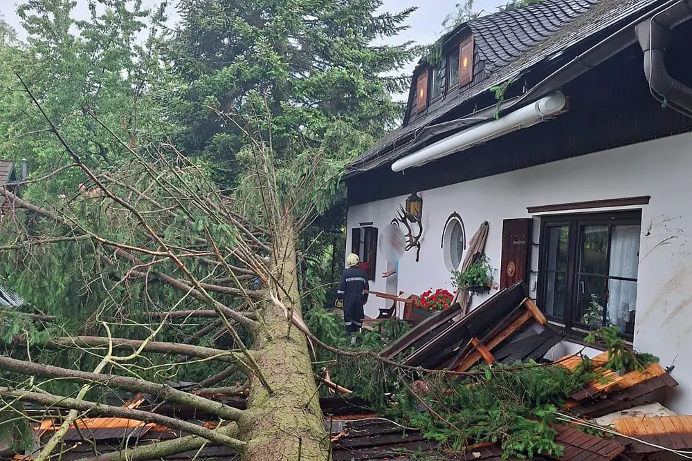 Ein Bild auf 5min.at zeigt umgestürzte Bäume.